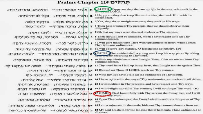 The Bible and Psalm 119