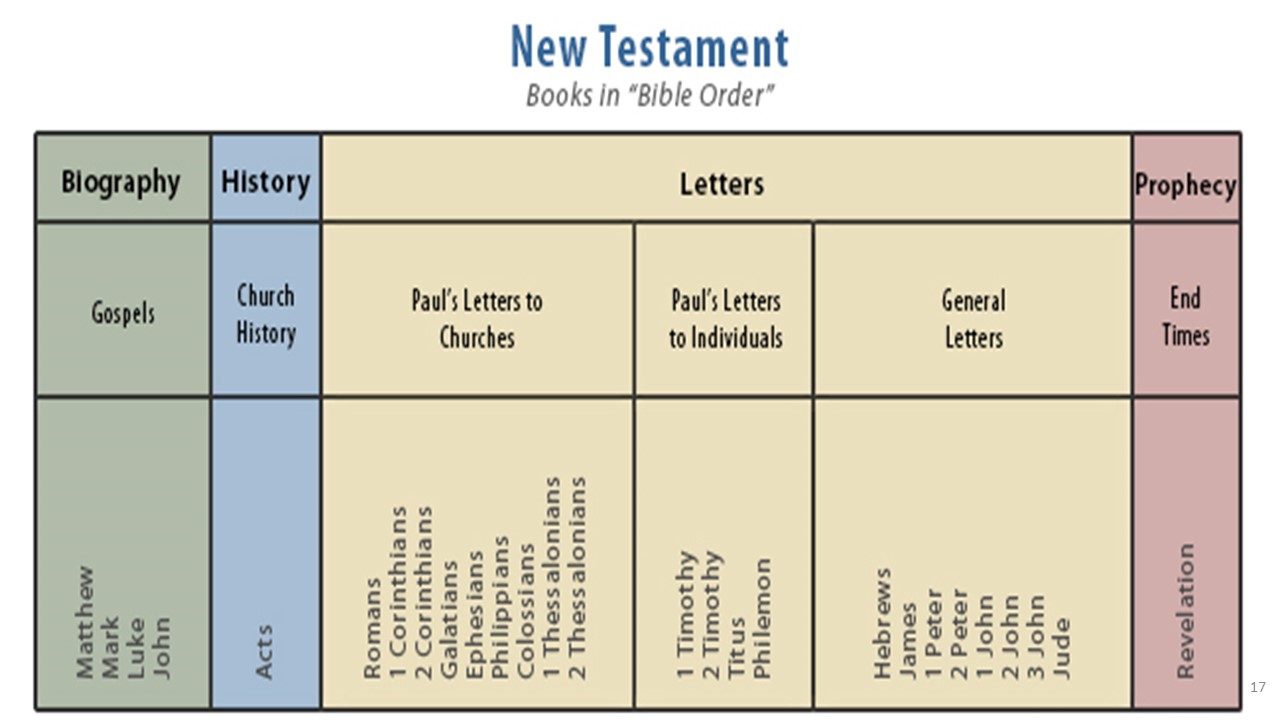 The bible letters in pauline New Testament